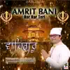 Vikas Relhan Vk & Khushpreet Kaur - Amrit Bani Har Har Teri - Single